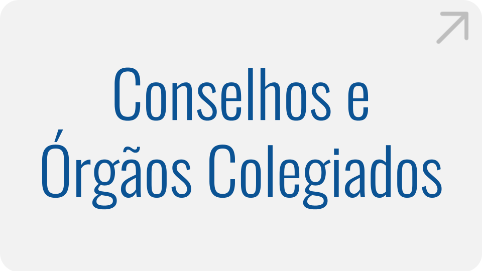 Conselhos e Órgãos Colegiados