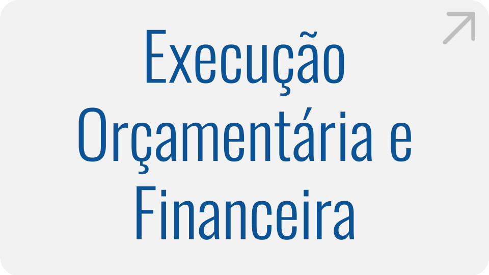 Execução Orçamentária e Financeira