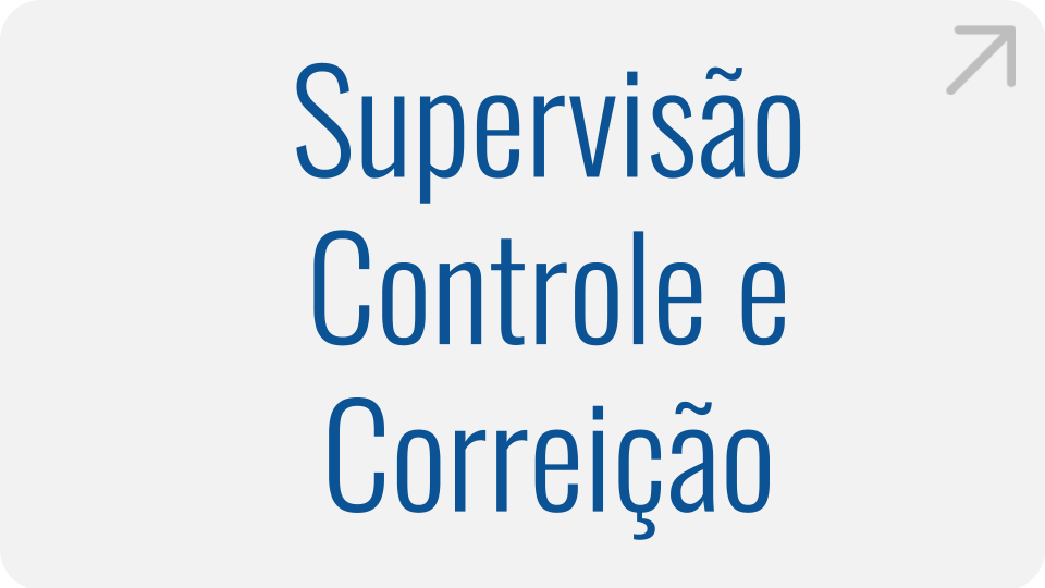Supervisão Controle e Correição