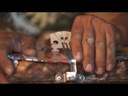 Landfill Harmonic - Trailer Legendado PT/BR