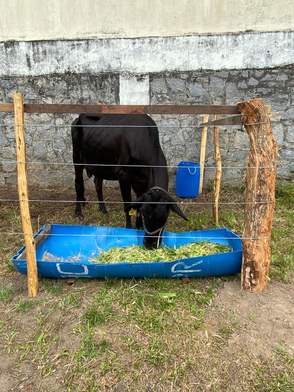 WhatsApp Image 2022-10-25 at 10.48.13 (1).jpeg