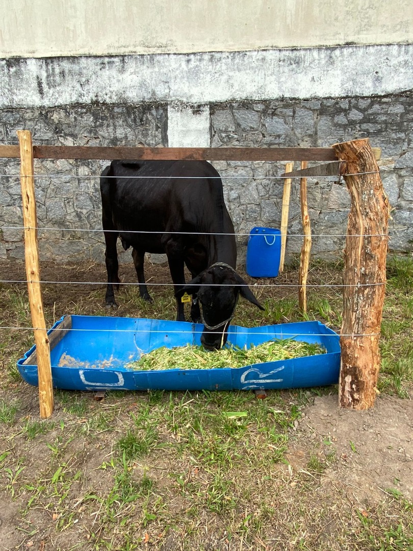 WhatsApp Image 2022-10-25 at 10.48.13 (1).jpeg