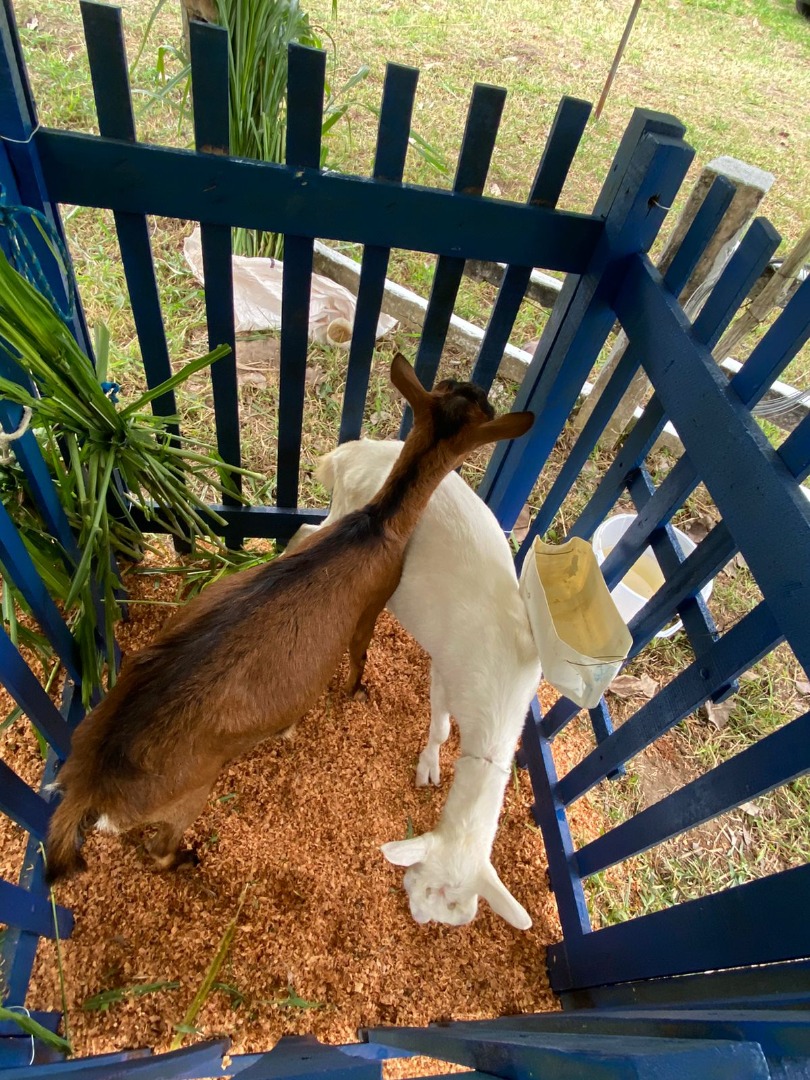 WhatsApp Image 2022-10-25 at 10.48.14.jpeg