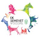 Semevet 2018.jpg
