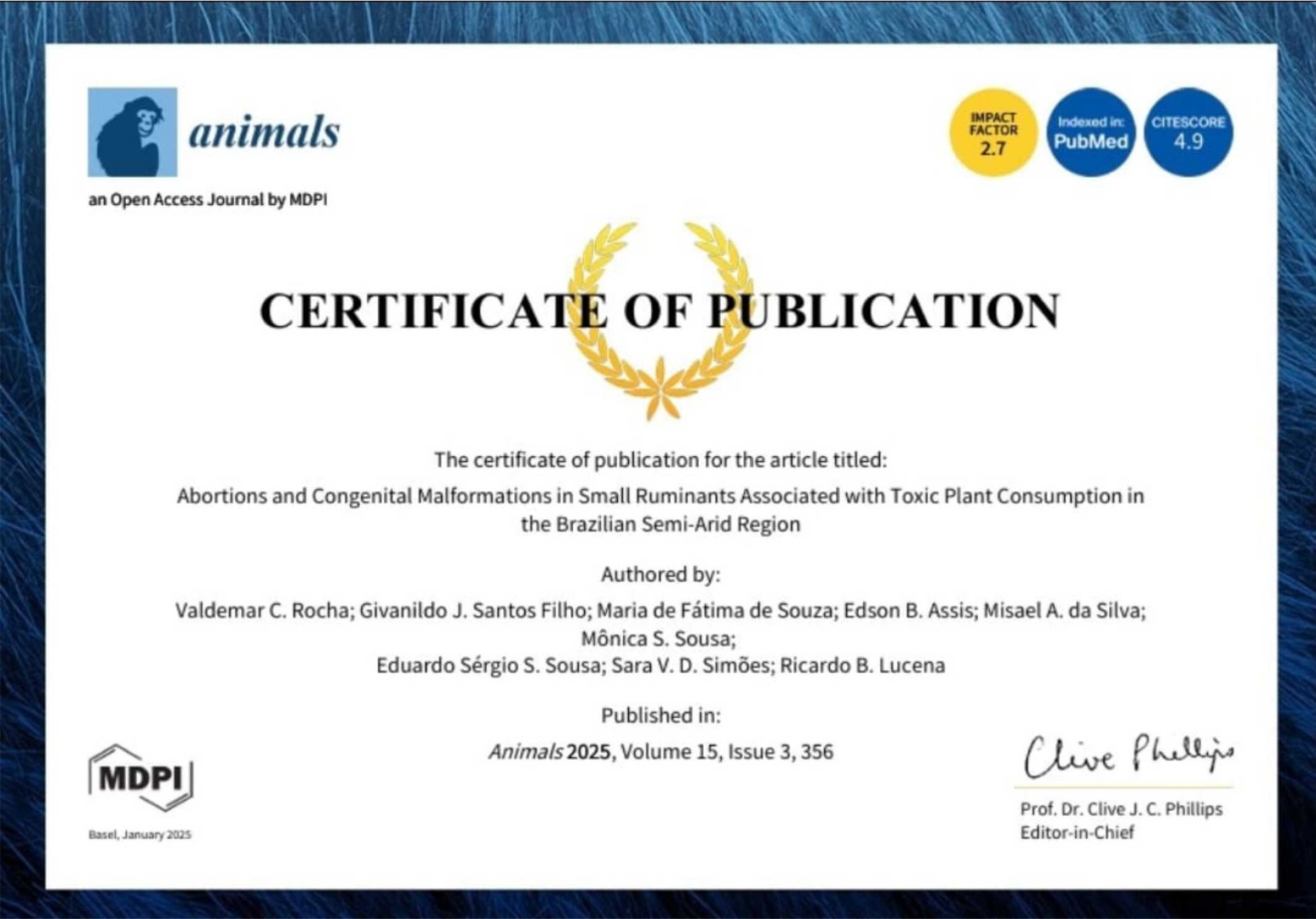 Certificado 2.jpg