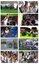 WhatsApp Image 2019-09-18 at 07.51.32.jpeg