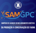 Captura de tela 2025-02-06 150106.png