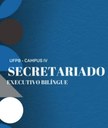 Conheça o Curso de Bacharelado em Secretariado Executivo Bilíngue