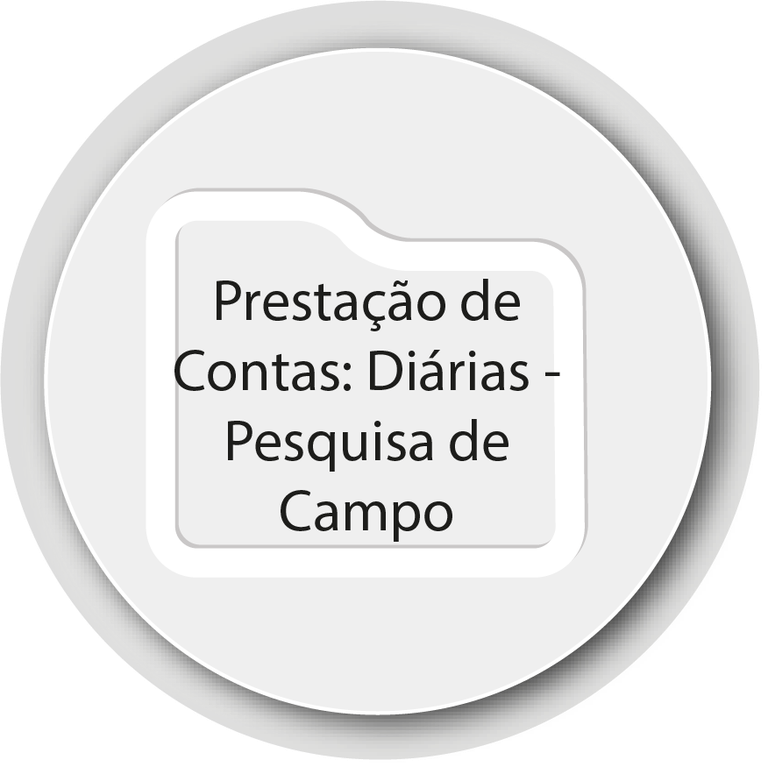 prestacaodecontas_diarias_pesquisadecampo.png