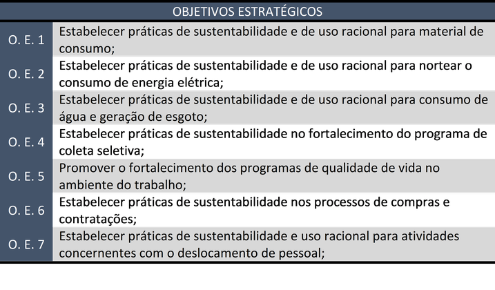 Objetivos estratégicos 