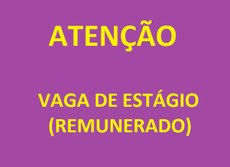 Vaga CIEE