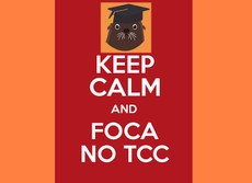 Fluxo TCC