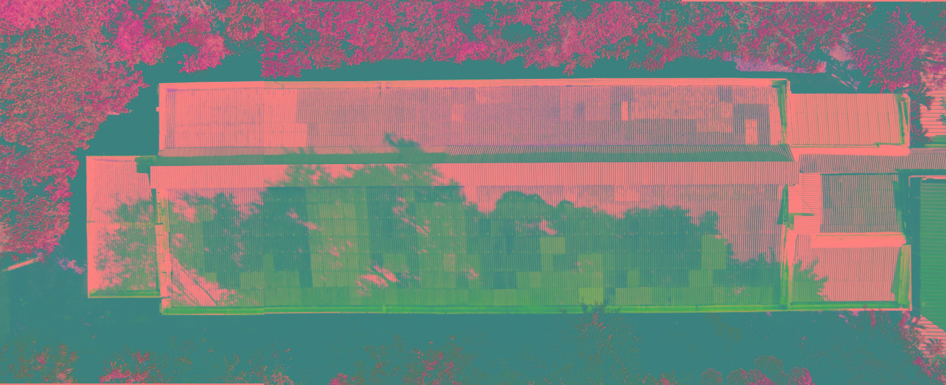 g2.jpg
