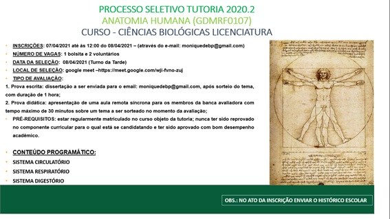 tutoria 2.jpg