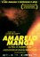 AMARELO MANGA