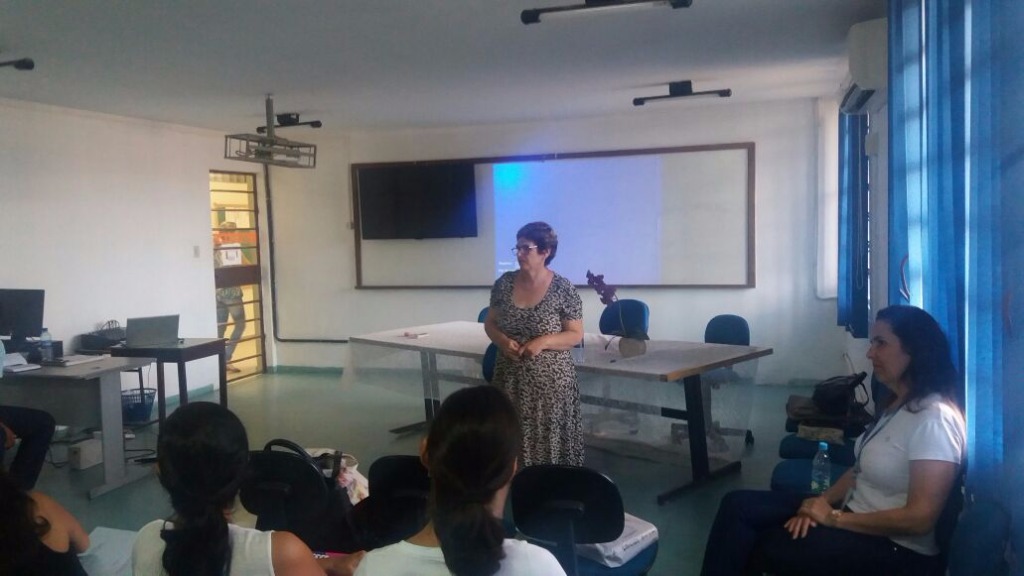 Prof. Dra. Renata Junqueira (UNESP)