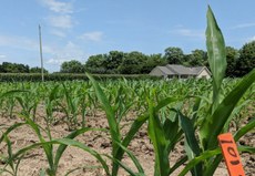 Exemplo da PIVOT BIO (fonte: divulgação).