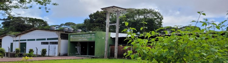 Diretoria Administrativa e Financeira - DAF/IPeFarM