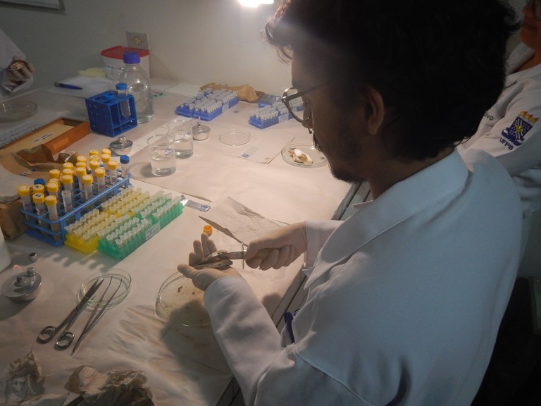 Exp. RNAseq