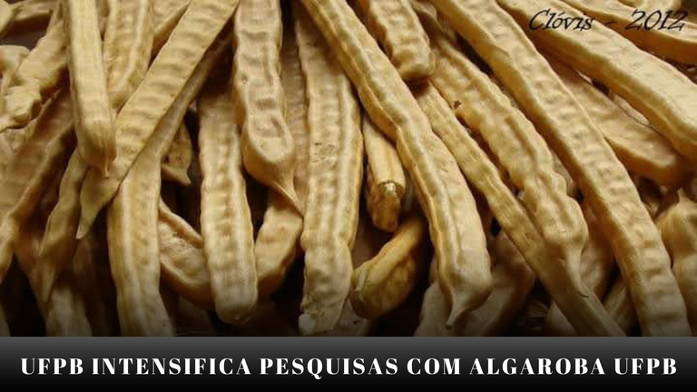 NOTÍCIAS