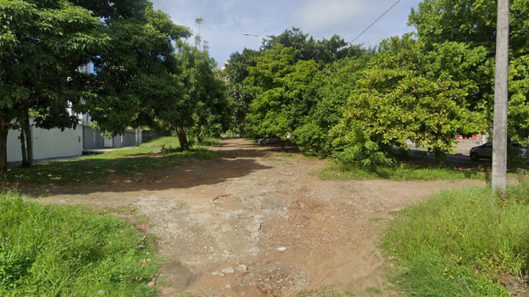 Árvores nativas_Rua Rui Costa_Altiplano.png