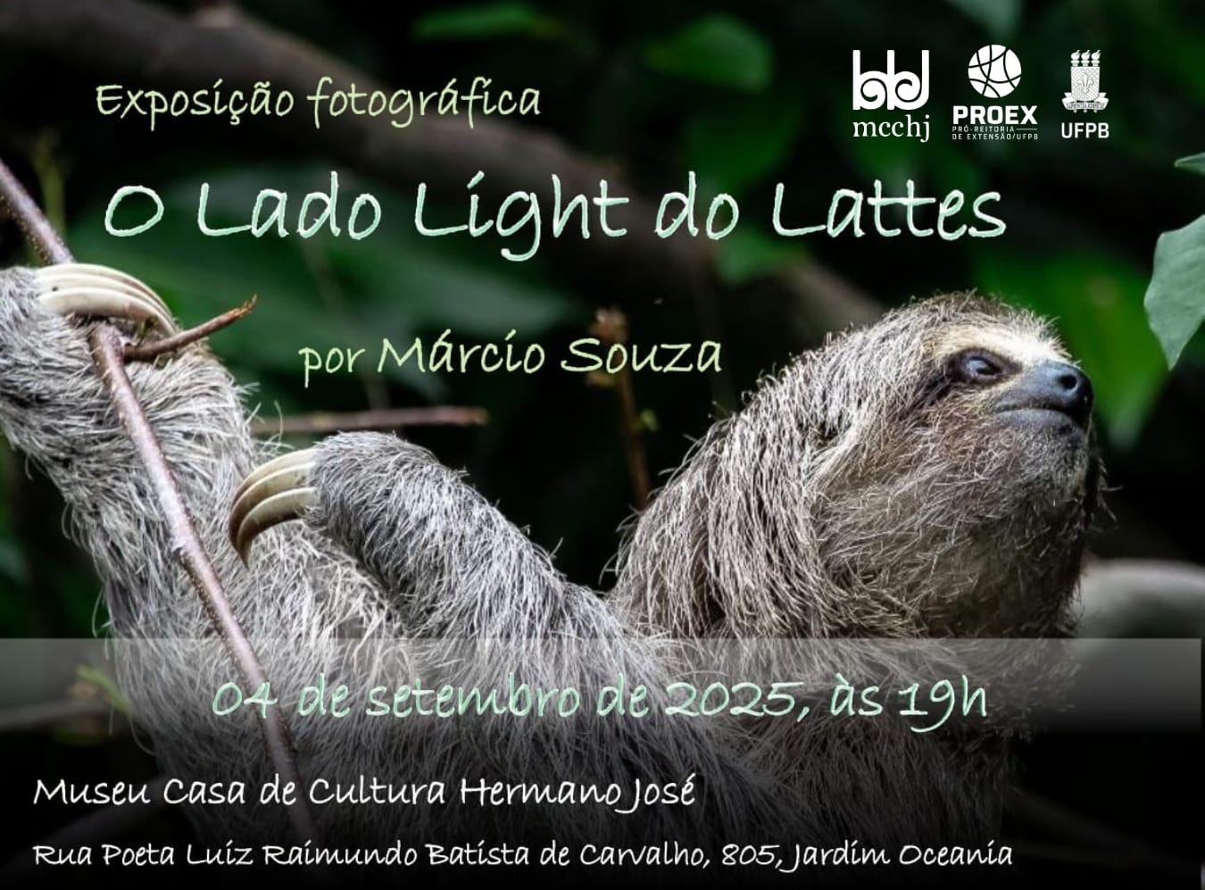 lado ligh do lattes.jpeg