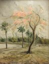 PARQUE SOLON DE LUCENA, 1953.