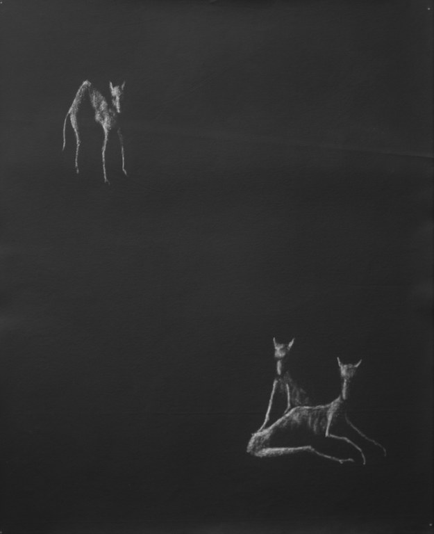 Aurora Caballero, 1992. Aurora Caballero, 1992.