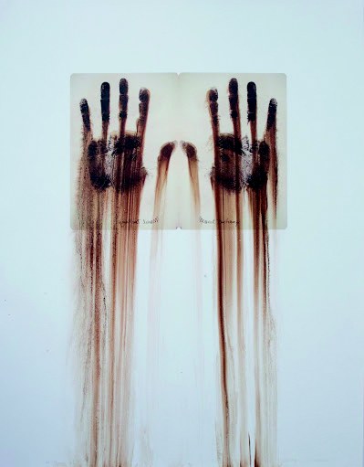 Reflexus, 2018. Reflexus, 2018.