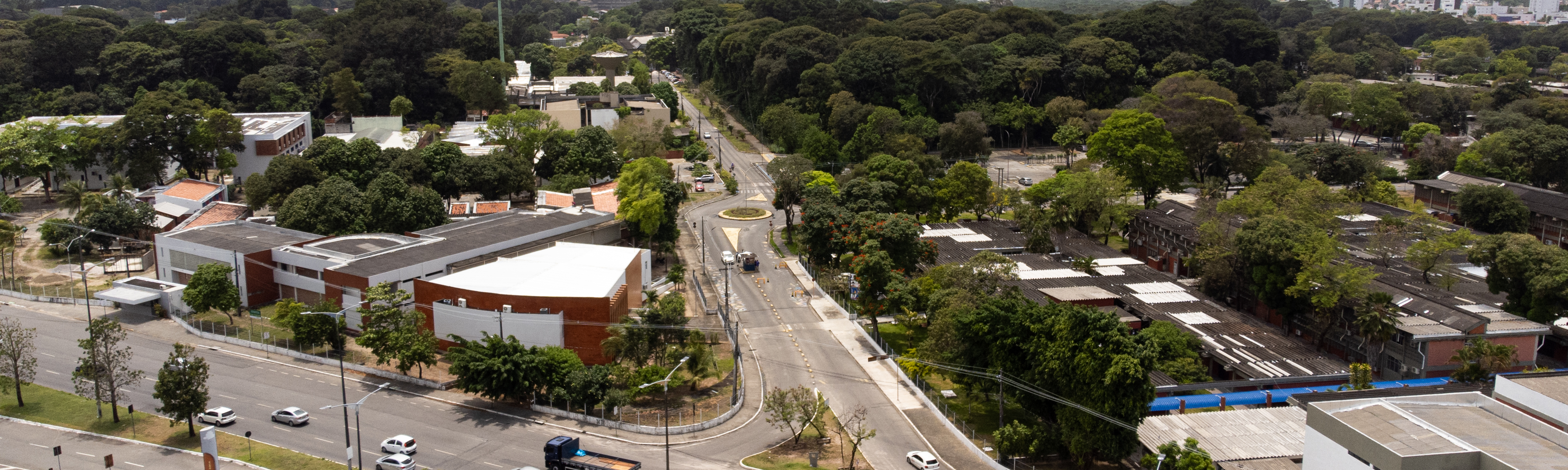 imagem4