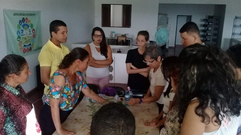 Associação de Flores Vila Real em 2019_Imagem cedida pela equipe Associação de Flores Vila Real em 2019_Imagem cedida pela equipe