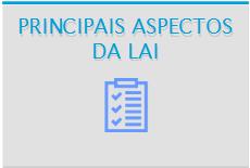 Principais aspectos da LAI.jpg