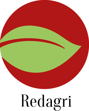 LOGO PAPA-3.png