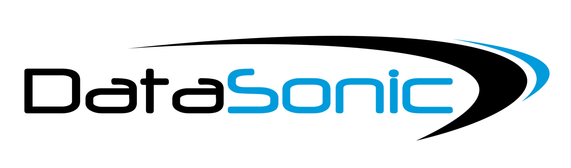 logo datasonic PNG-01.png