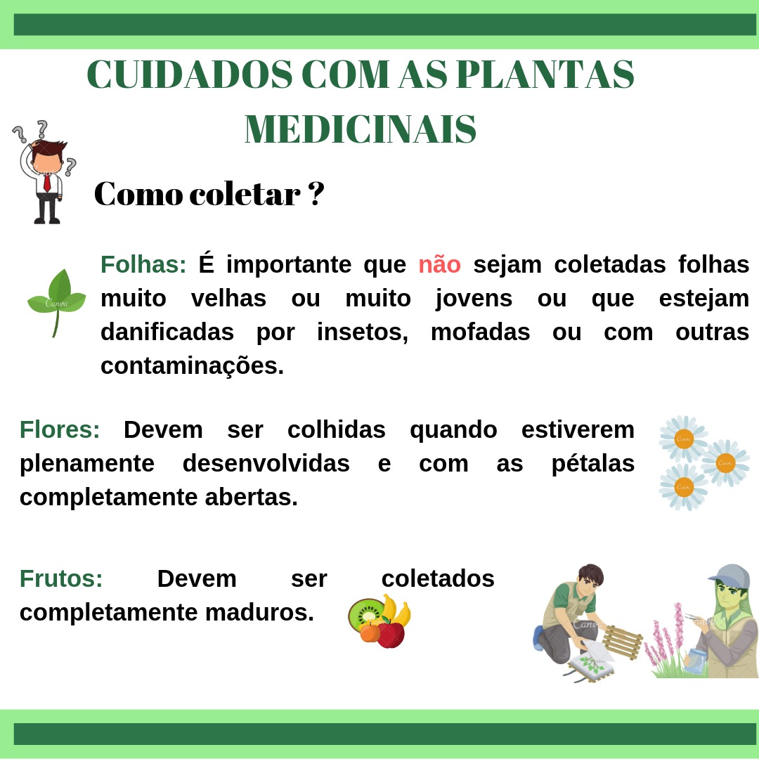 WhatsApp Image 2019-09-19 at 21.10.49.jpeg