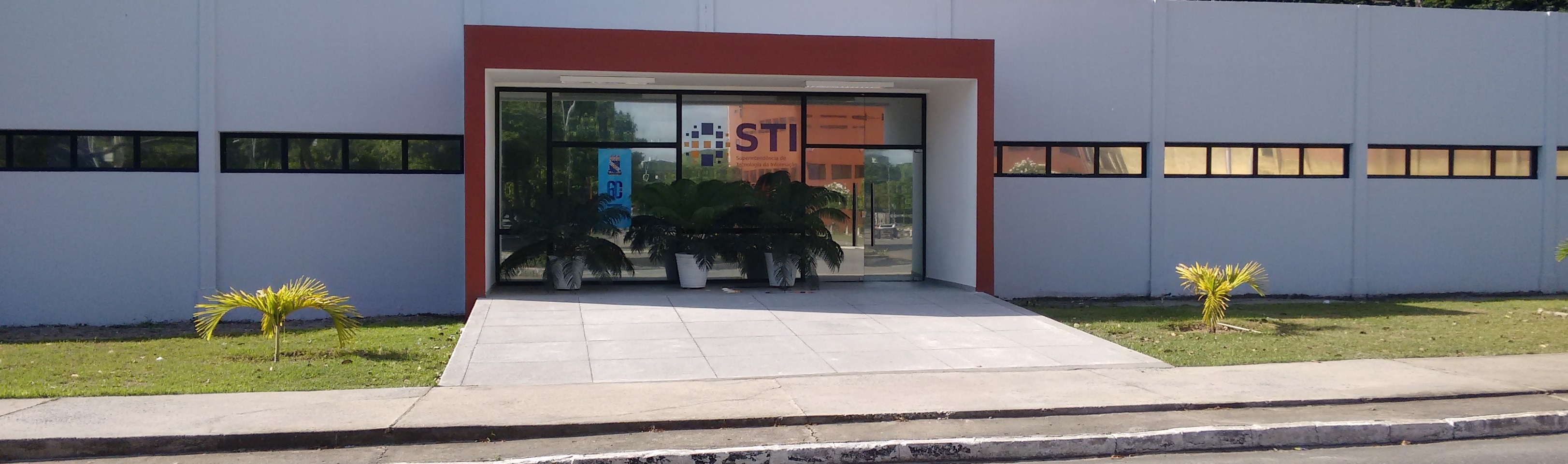 STI.jpg