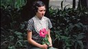 CINE PROSA - MOSTRA DE CINEMA E LITERATURA DISCUTE RELAÇÕES ENTRE AS PALAVRAS E AS IMAGENS