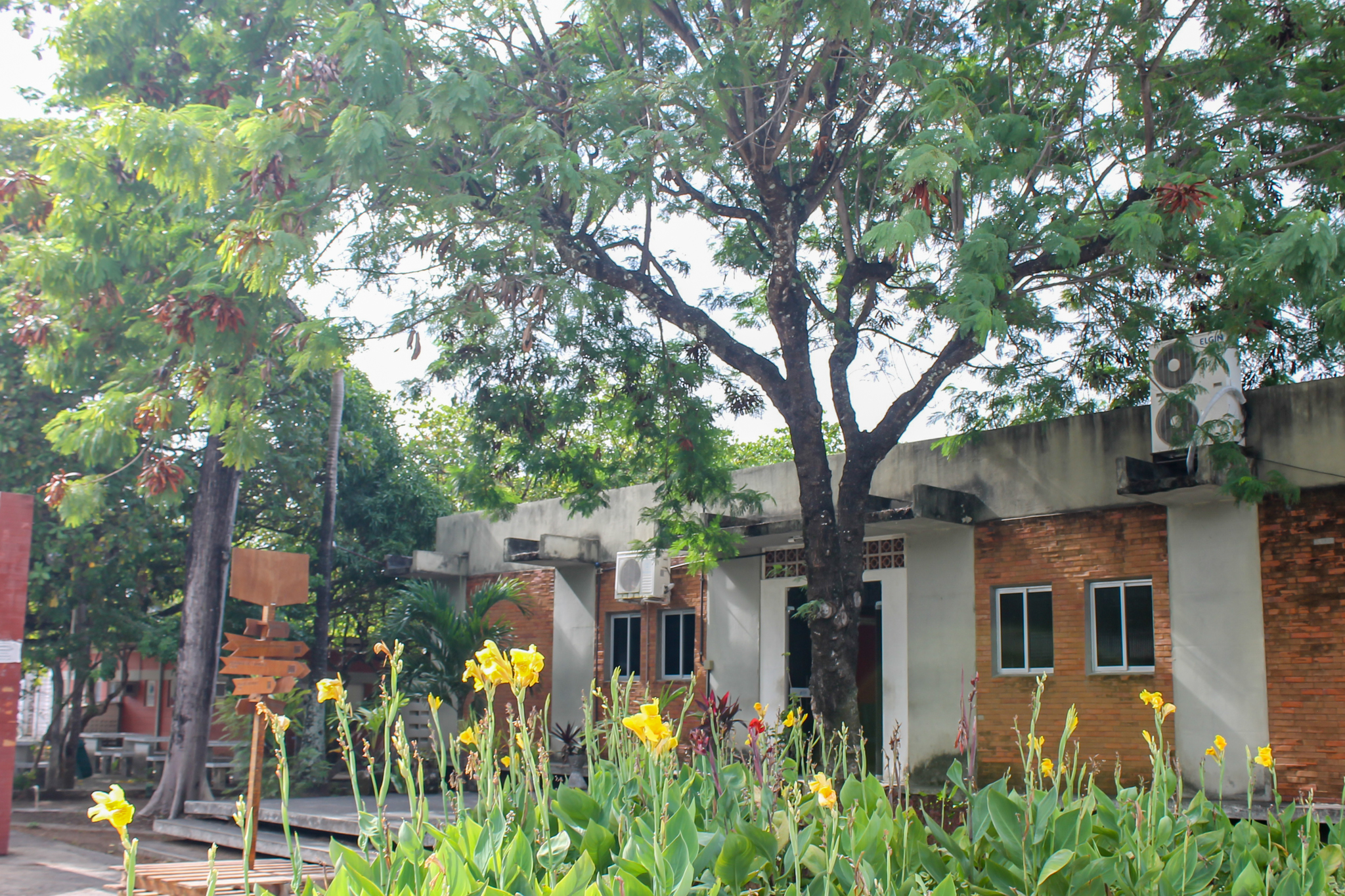 Foto: Angélica Gouveia