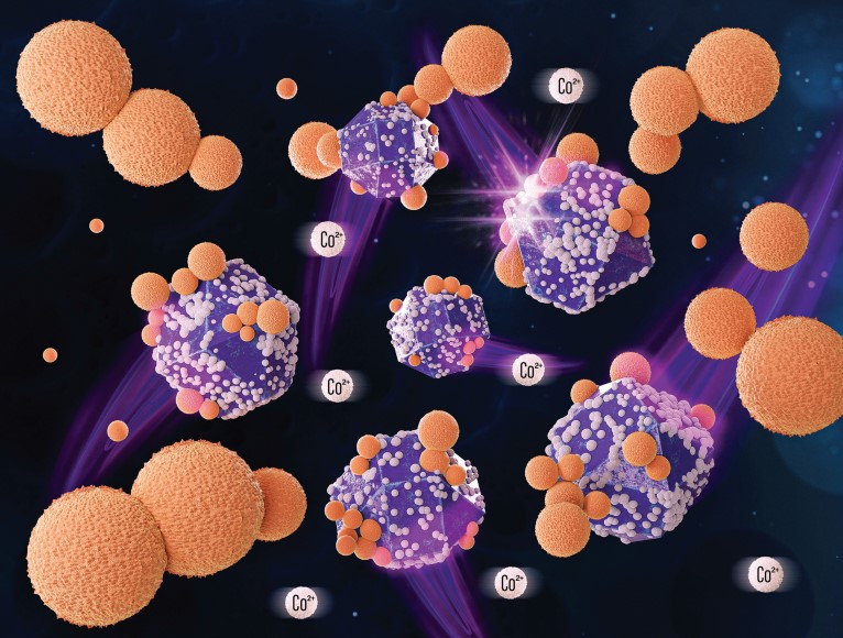 Imagem: Reprodução/New Journal of Chemistry