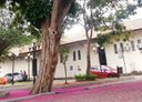 Colégio agrícola da UFPB oferece 94 vagas para auxílio emergencial