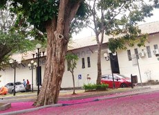 iniciativa visa ampliar as condições de permanência e apoio à formação escolar e acadêmica de estudantes de cursos técnicos da UFPB em Bananeiras, no Brejo paraibano. Foto: Laura Suênia /Primavera no Campus