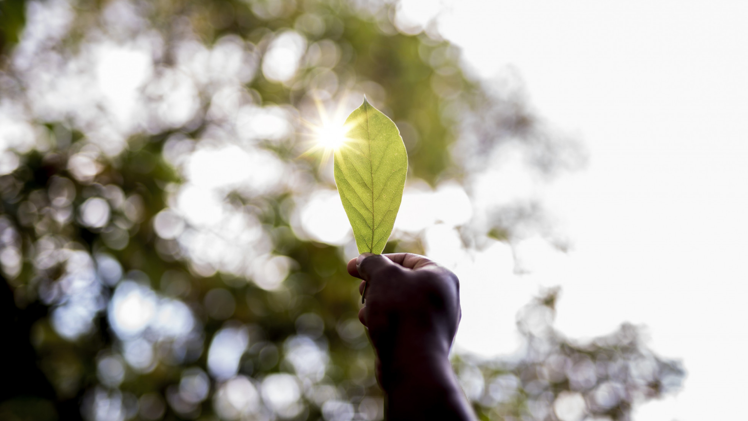 1111202546.png 1111202546.png