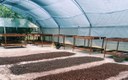 Estudo da UFPB constata elevado potencial antioxidante da casca do café orgânico