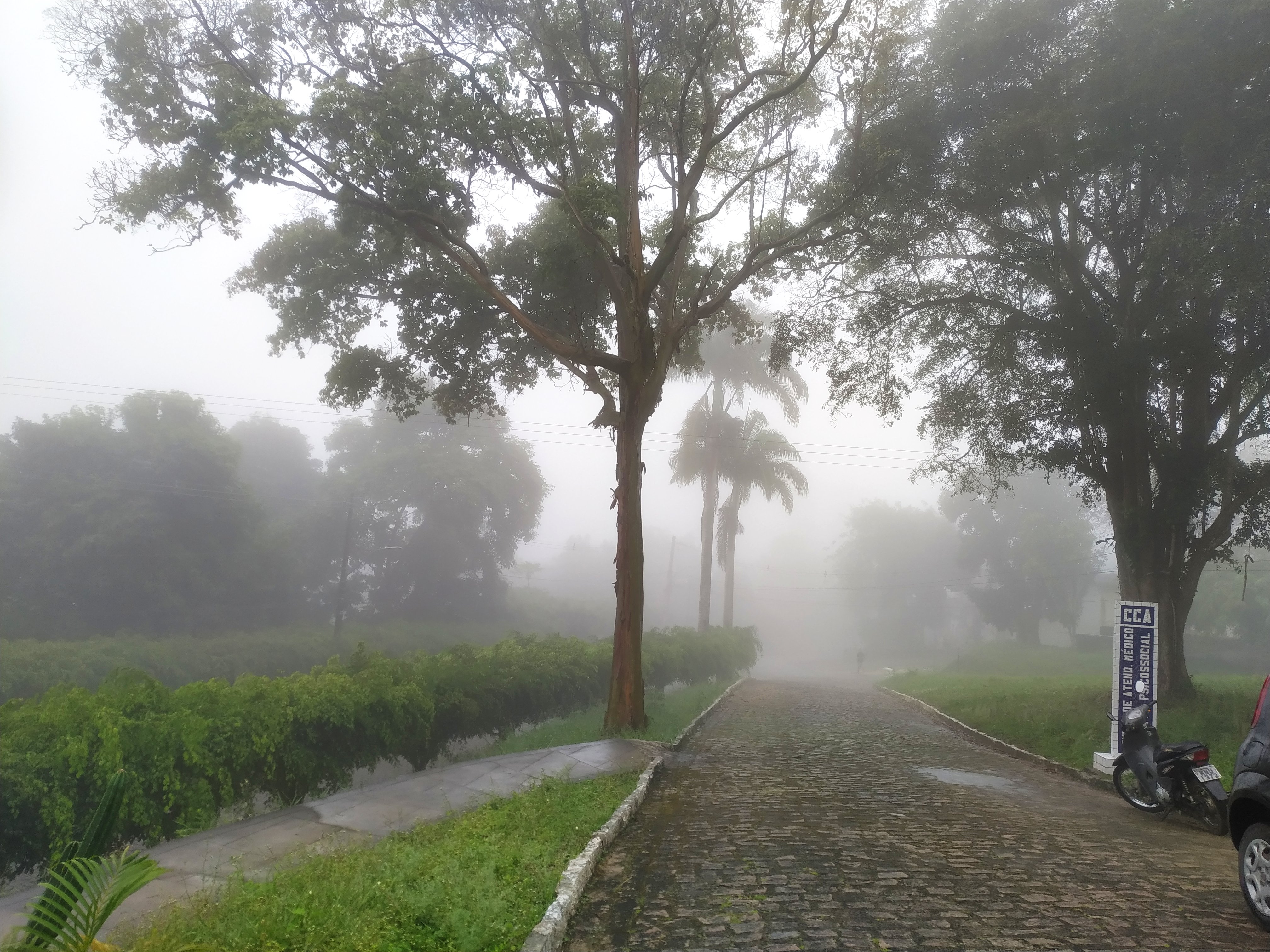 ESTUDO DA UFPB E DA USP AVALIA O USO DE DRONES NA AGRICULTURA Foto: Cristiane Ribeiro
