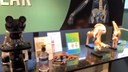 MUSEU DE CIÊNCIAS MORFOLÓGICAS DA UFPB DÁ INÍCIO A VISITAS GUIADAS