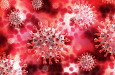 Em boletim epidemiológico divulgado às 18h desta quarta-feira (27), a Secretaria do Estado da Saúde (SES) registra 10.209 casos confirmados. Crédito: Reprodução/A Tarde/ Autor Desconhecido