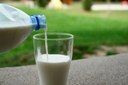 PESQUISA DA UFPB APONTA DIMINUIÇÃO DO TEOR DE LIPÍDIOS NO LEITE CAPRINO COM A INSERÇÃO DE GLICERINA BIDESTILADA NA ALIMENTAÇÃO ANIMAL
