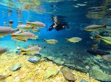A área banhada pelo rio da Prata, mais especificamente na cidade de Bonito, no Mato Grosso do Sul, foi classificada 15 vezes como melhor destino de ecoturismo do Brasil, pela revista Viagem e Turismo, sendo 12 delas consecutivas. Foto: Fernando Maidana