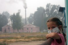 De acordo com os especialistas, no cenário brasileiro, o aumento da vulnerabilidade social e da degradação ambiental eleva o risco de infecções transmitidas de um animal para os seres humanos. Foto: Andrey Smirnov/AFP/Getty Images