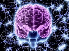 Palestra on-line abordará assimetria cerebral no processamento de emoções. Crédito: Correio da manhã/Reprodução